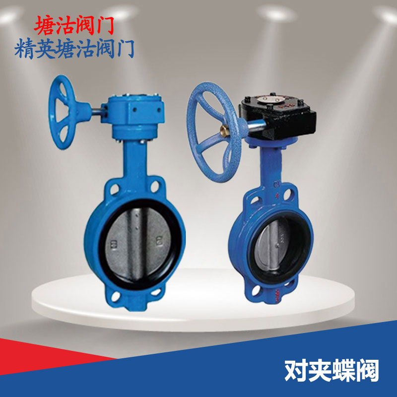 對夾蝶閥